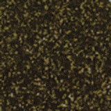 Silhouette America Heat Transfer Materials Black Gold Silhouette 12 inch x 36 inch Glitter Heat Transfer Material