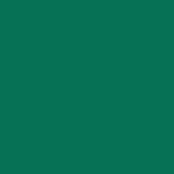 Silhouette America Heat Transfer Materials Green Silhouette 12 inch x 36 inch Smooth Heat Transfer Material