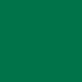 Silhouette America Vinyls Green Silhouette 12 inch x 6 foot Matte Removable Vinyl