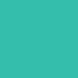 Silhouette America Vinyls Mint Silhouette 9 inch x 10 foot Matte Removable Vinyl